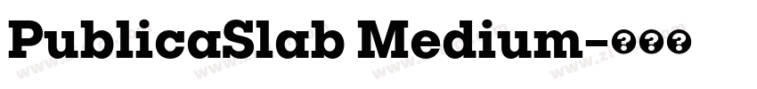 PublicaSlab Medium字体转换 PublicaSlab Medium字体转换